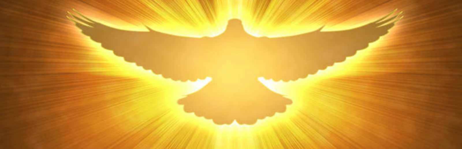 Dieu parle par la prophétie et les dons de l\'Esprit Benny Hinn Dieu parle par la prophétie et les dons de l\'Esprit Benny Hinn