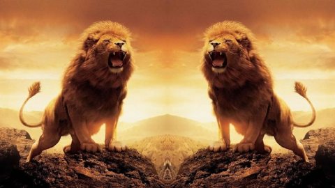 Prendre l'initiative